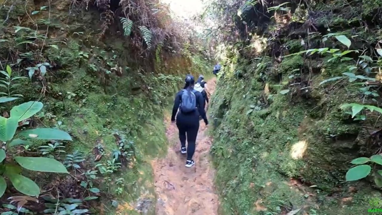 Caminatas ecológicas en El Retiro, Antioquia