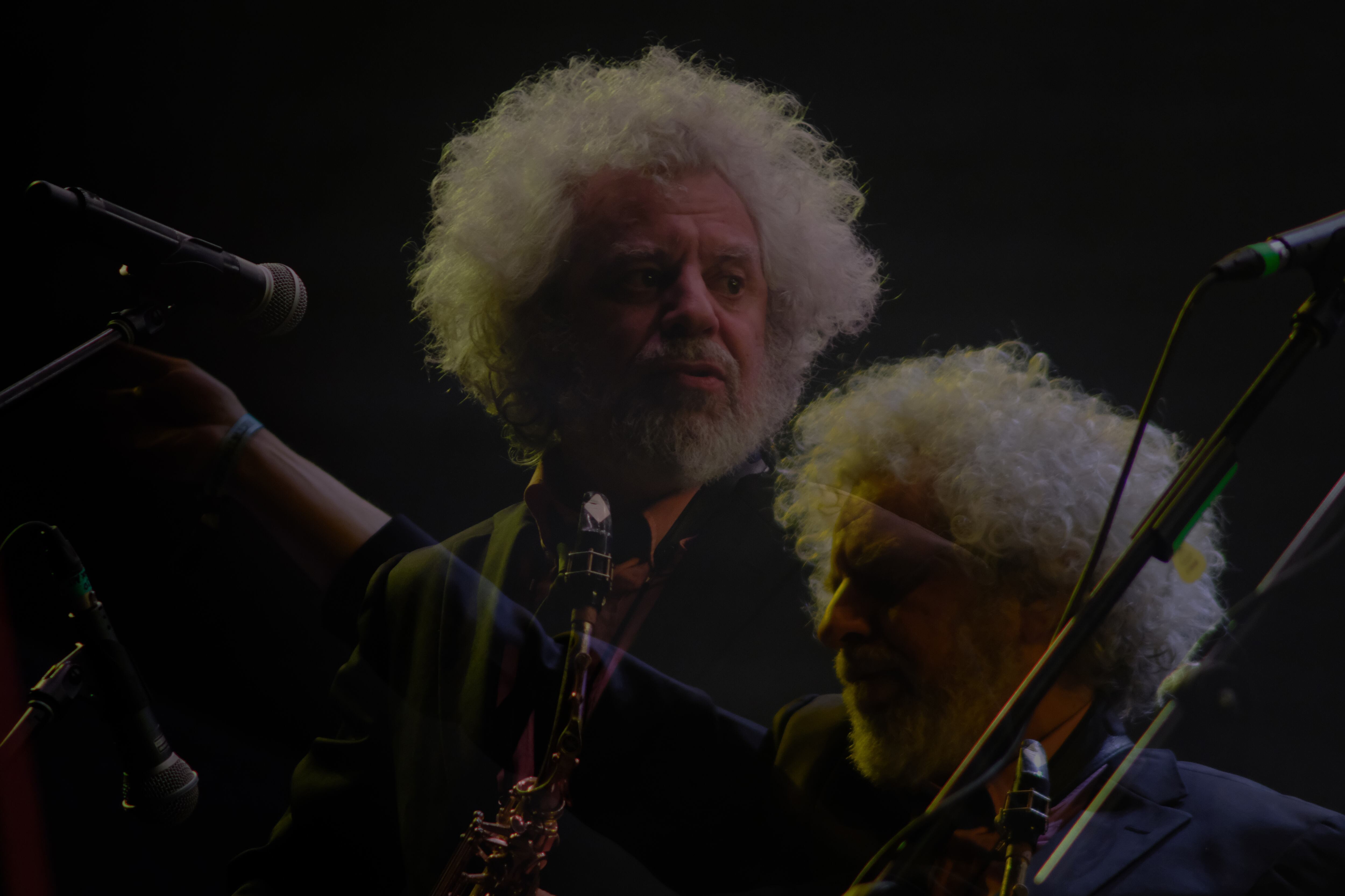 Los Fabulosos Cadillacs en el FESTIVAL CORDILLERA 2022.