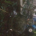 Avioneta siniestrada en Guaviare.