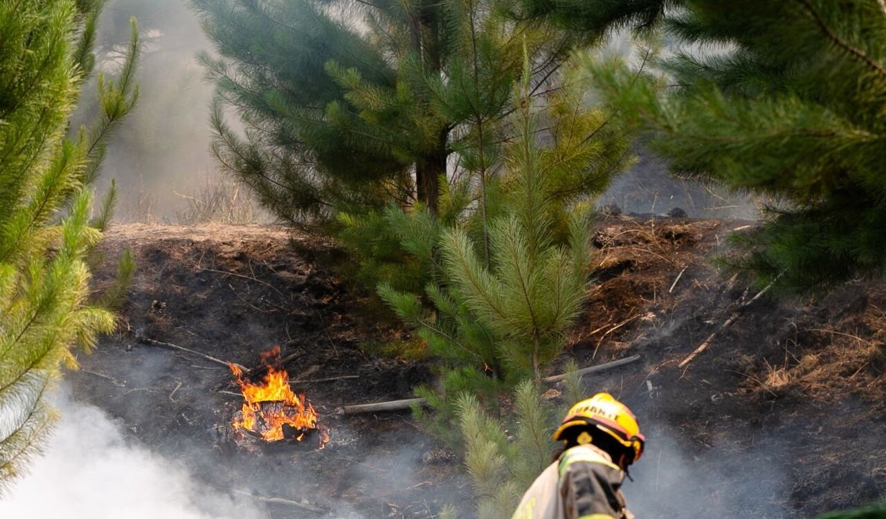 Cerca de 270 mil hectáreas de bosques han sido quemadas por las llamas