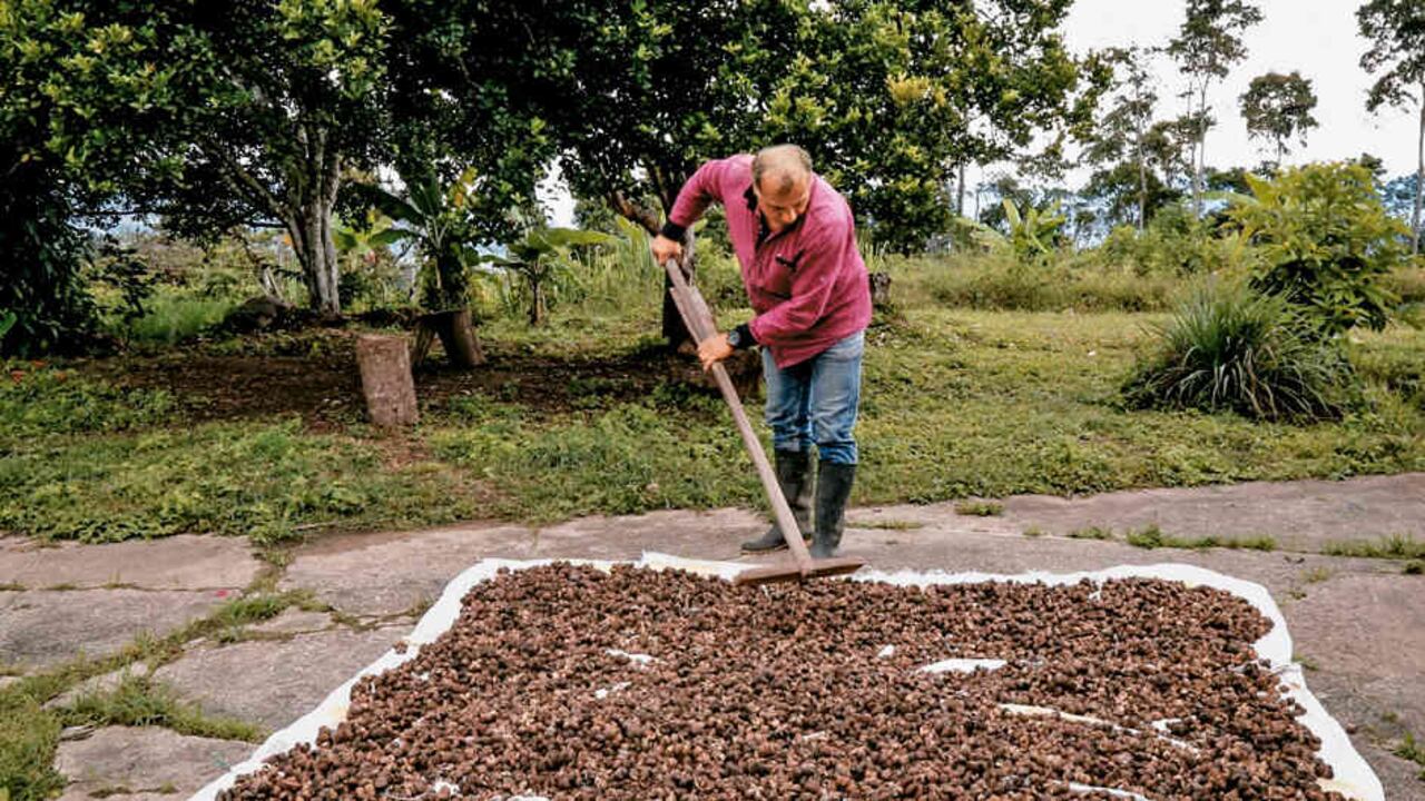 Los recursos del Fondo Colombia en Paz se distribuyen en subcuentas lideradas por entidades ejecutoras y atienden iniciativas de sustitucio´n, reincorporacio´n, renovacio´n territorial, justicia transicional, primera infancia y sostenibilidad en a´reas protegidas.