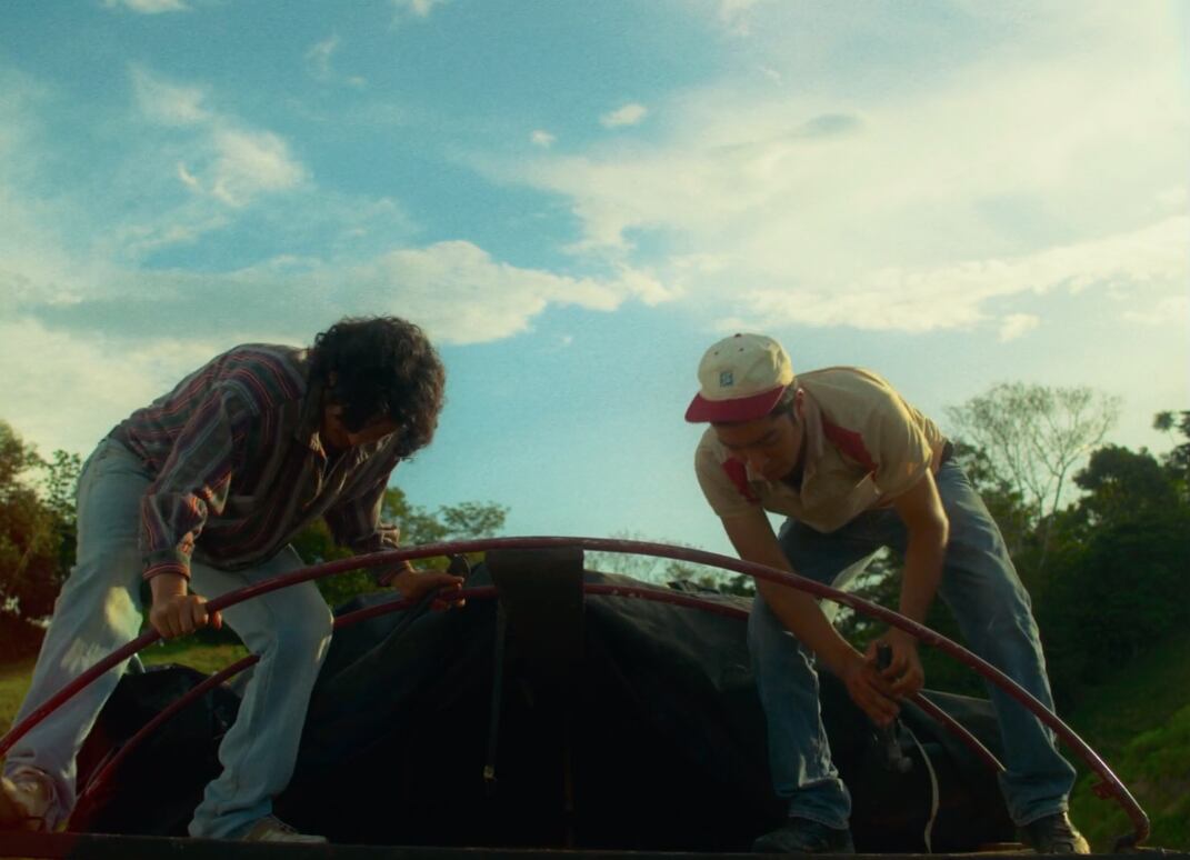 Cuidado con dejar salir al animal, es peligroso...