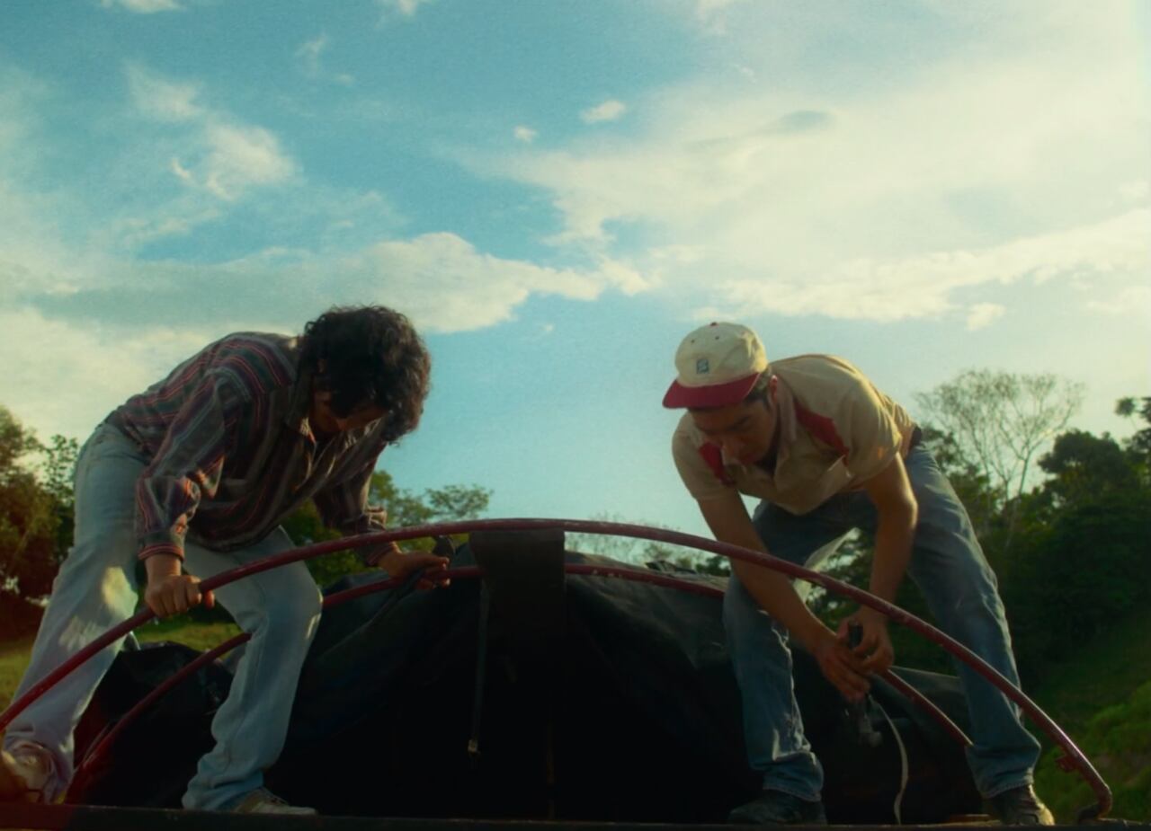 Cuidado con dejar salir al animal, es peligroso...