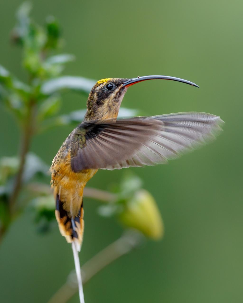 Manizales recupera el pulso del turismo con naturaleza, café y cultura tras la emergencia.