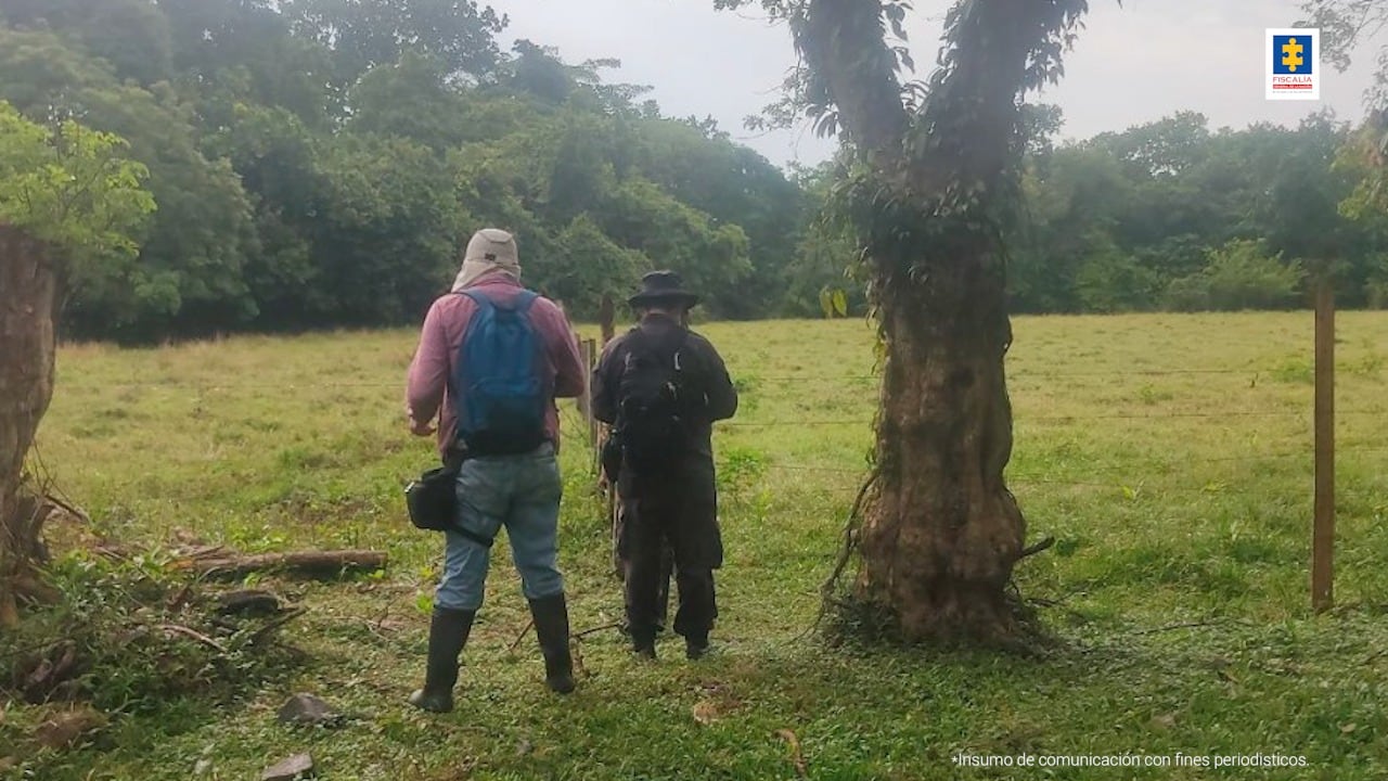 La Fiscalía entregó bienes por más de 24.000 millones de pesos que pertenecieron a Fredy Rendón Herrera alias El Alemán.