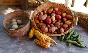 María Lilia Jiménez Ríos, una mujer luchadora que es conocida como la “guardiana de semillas” y su hija Yadira Jiménez creadora del Museo Campesino en la vereda San José, de Gachancipá Cundinamarca
emprendedora emprendimiento turismo mujeres campesinas agricultura
Sept 24 del 2020
Foto Guillermo Torres Reina / Dinero