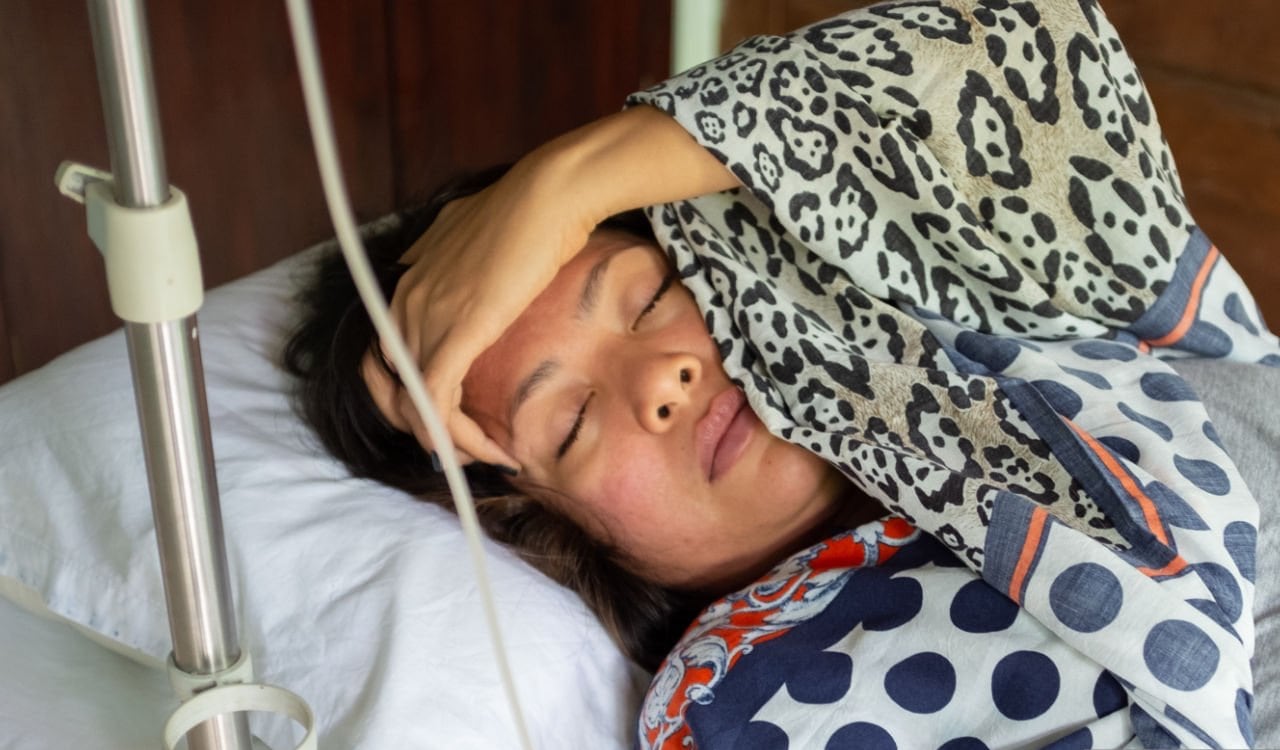 El virus del dengue prendió las alertas en Perú. A la fecha se reportan 58.117 casos, 88 % más que en el mismo lapso del año 2021.