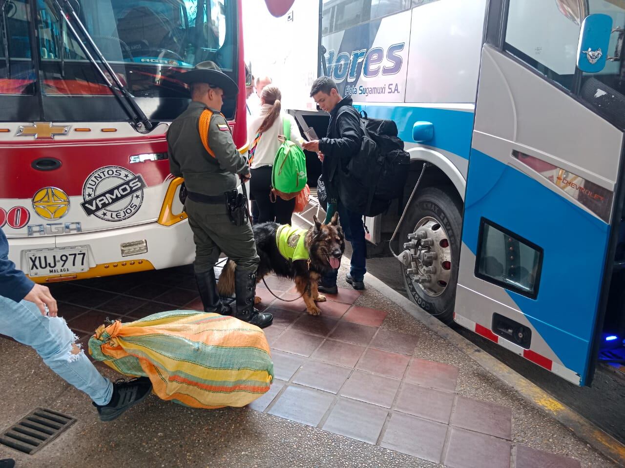 La iniciativa establece compromisos orientados a fomentar políticas de cero tolerancia al comercio ilegal de fauna silvestre.