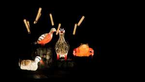 Festival de luces Jardín Botánico Bogotá