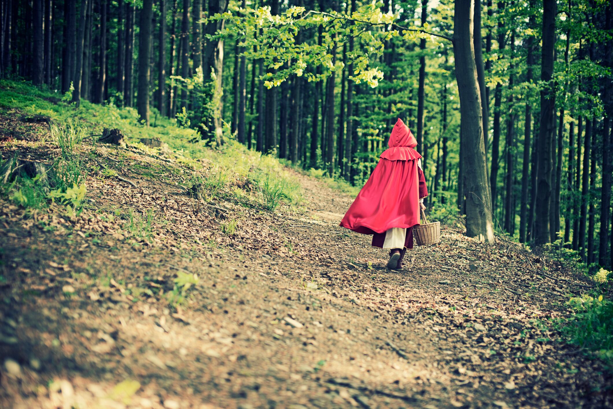 Caperucita Roja perdida en el bosque. Imagen de referencia de la obra de Charles Perrault