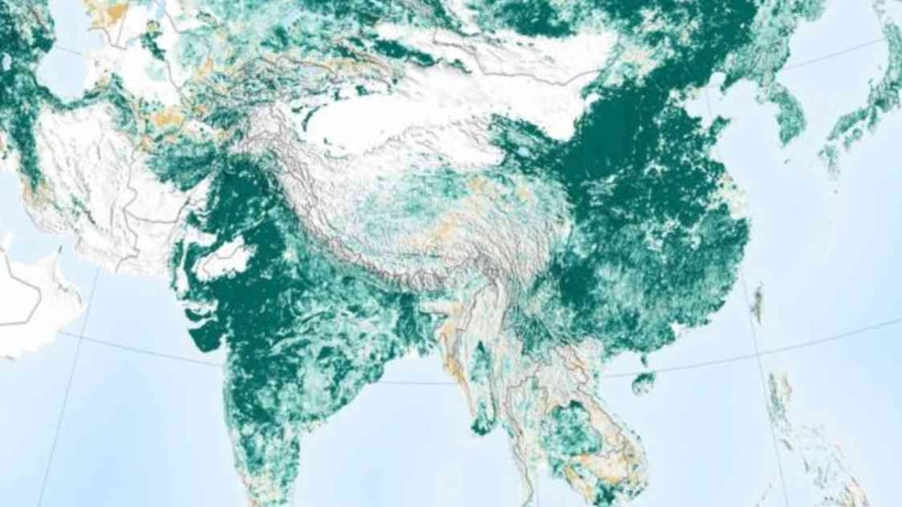 Las imágenes de la NASA muestran que hoy el planeta es más verde. Foto: NASA