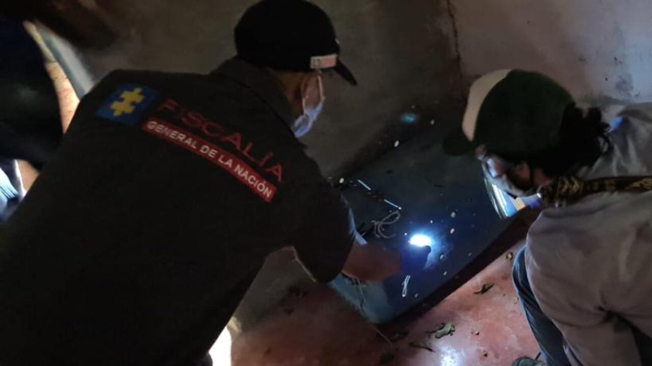 Maltrato Animal Honda Tolima