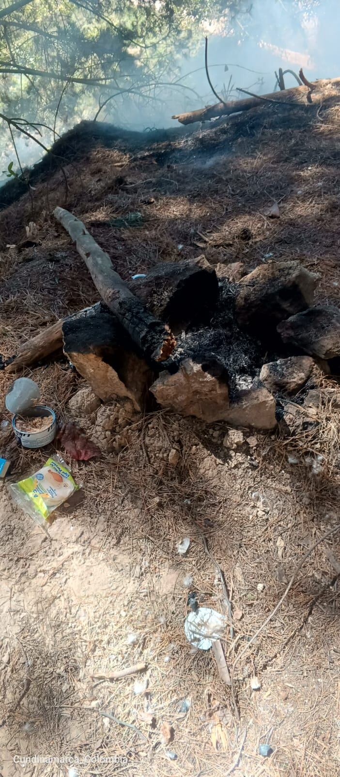 Una fogata fue lo que generó el incendio