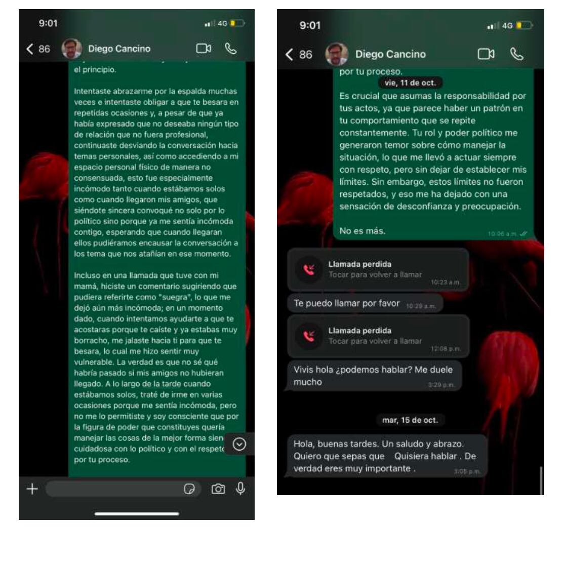 Chats de Diego Cancino con Viviana Vargas.