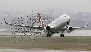 Situaciones similares se presentan en varios aeropuertos del mundo. Imagen de referencia.