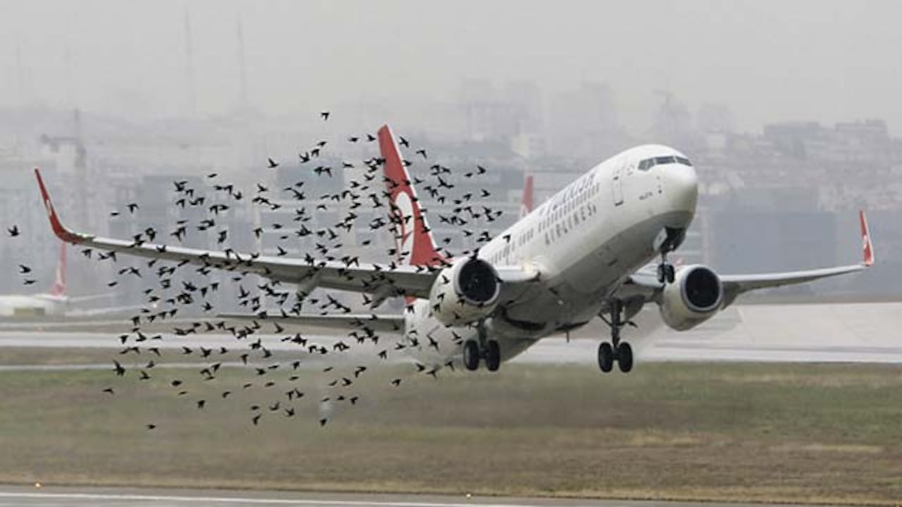 Situaciones similares se presentan en varios aeropuertos del mundo. Imagen de referencia.