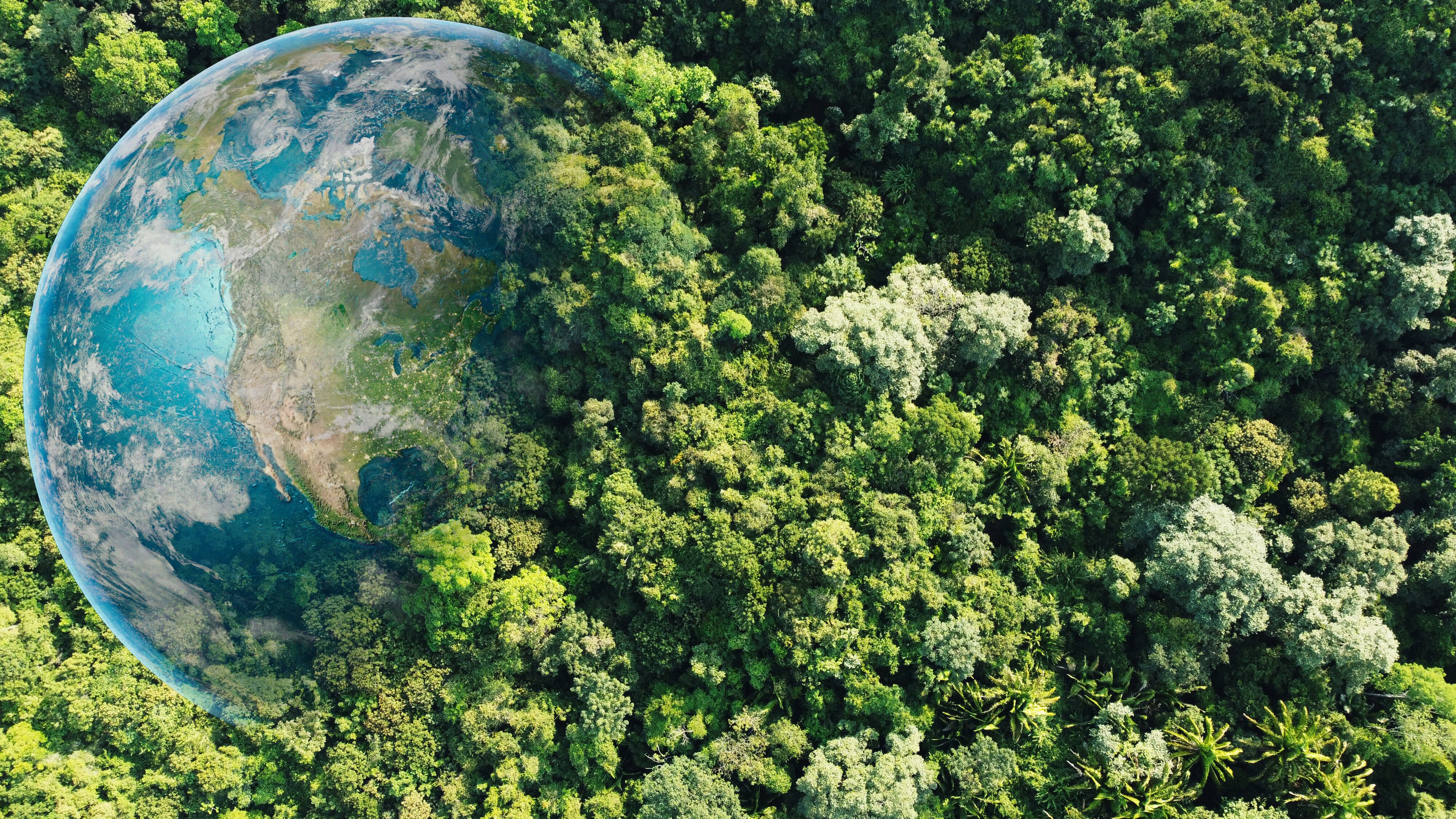 Se acabó la espera para uno de los eventos ambientales más importantes del país: el Primer Congreso de la Tierra.