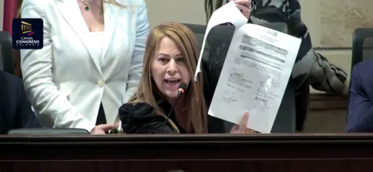 Gloria Liliana Rodríguez, presidenta de la Comisión Cuarta de Senado.