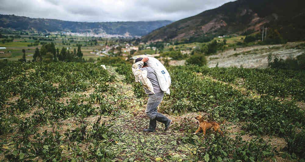 La agrominería ayuda a activar el campo y revierte el desabastecimiento que solía traer la minería.
