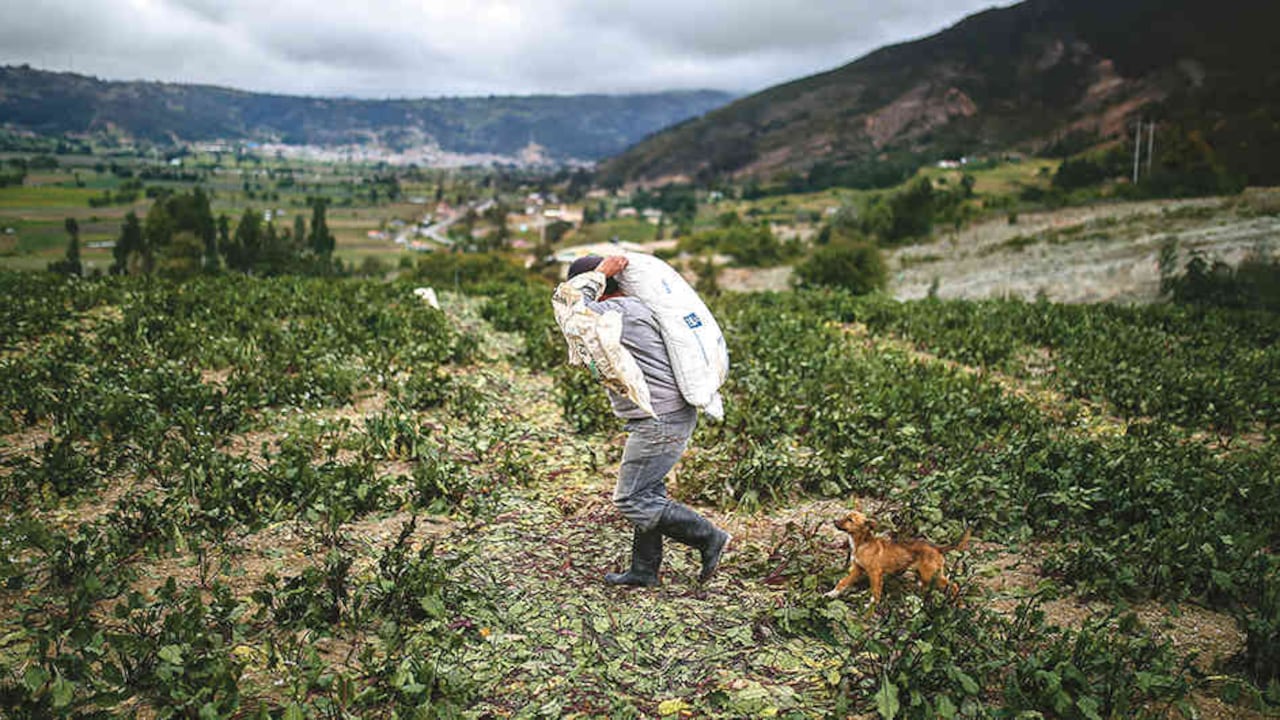 La agrominería ayuda a activar el campo y revierte el desabastecimiento que solía traer la minería.