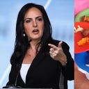 La senadora María Fernanda Cabal se fue de frente contra el gobierno Petro por las fallas en el PAE.