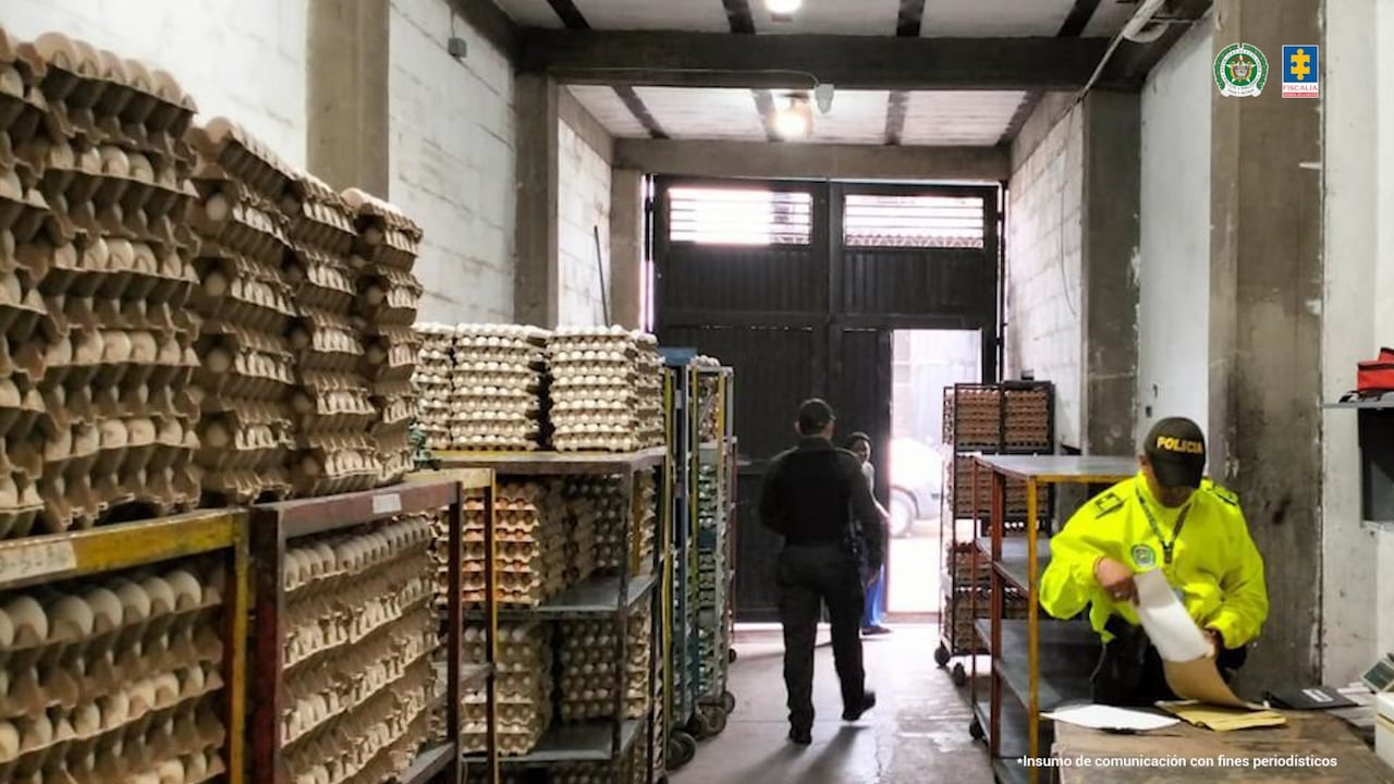 Serían las responsables de darle apariencia de legalidad a algo más de 4.800 millones de pesos. El “cartel del huevo”