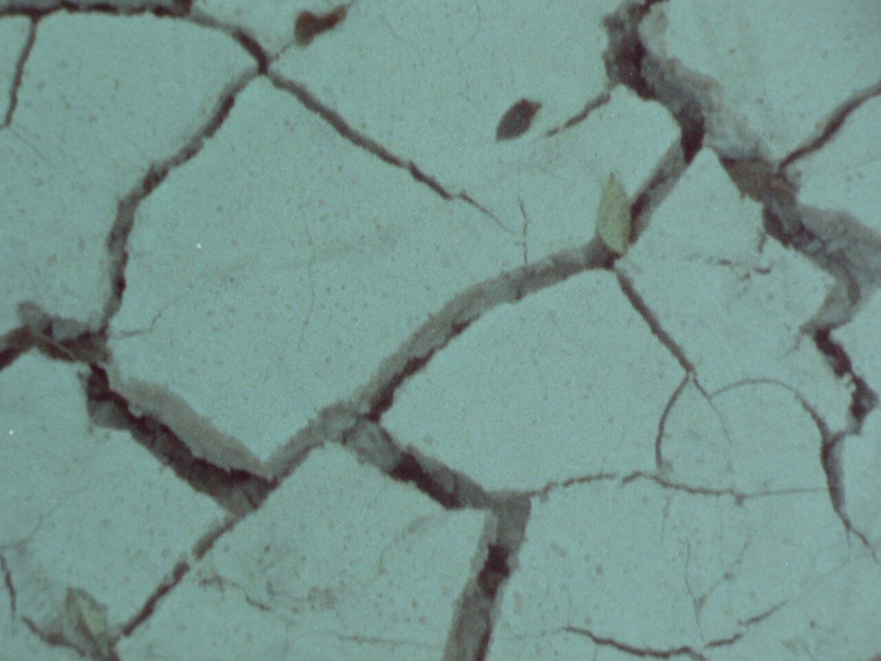 'El mañana es un palacio de agua';
'La jungla te conoce mejor que tú mismo'; 'nuestro canto a la guerra'.