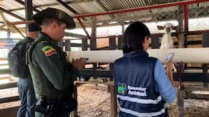 Protección Animal de Cali, en conjunto con la Policía Ambiental, rescatan animales en parque recreativo.