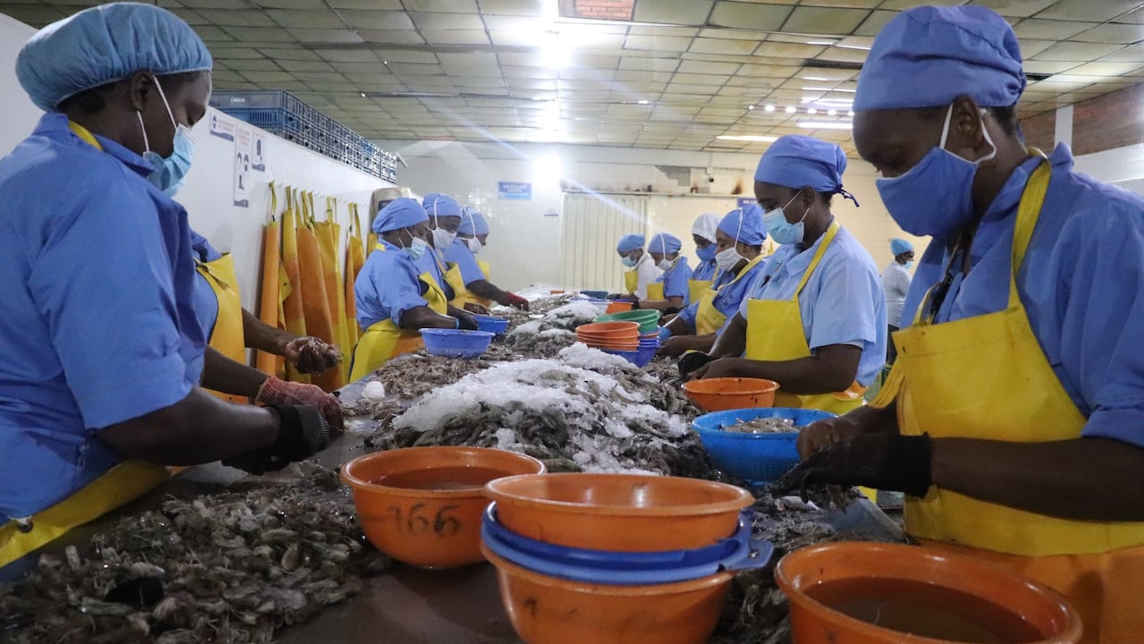 Alianza Camarón de Tumaco