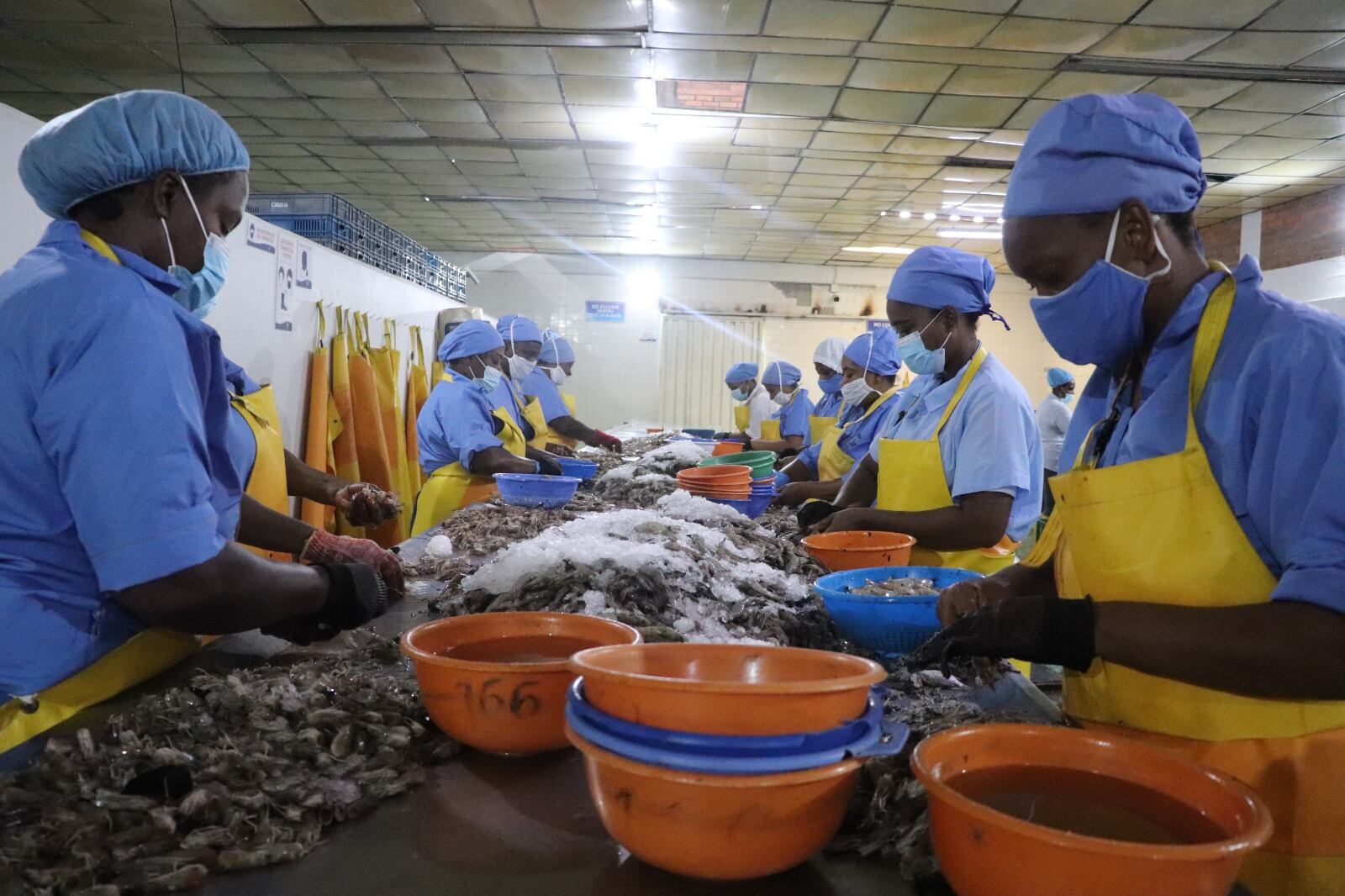 Alianza Camarón de Tumaco