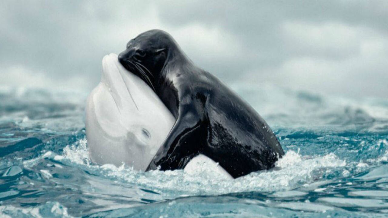 La fotografía ha obtenido más de 69.000 'me gusta' en Instagram. Foto: Instagram - Nature