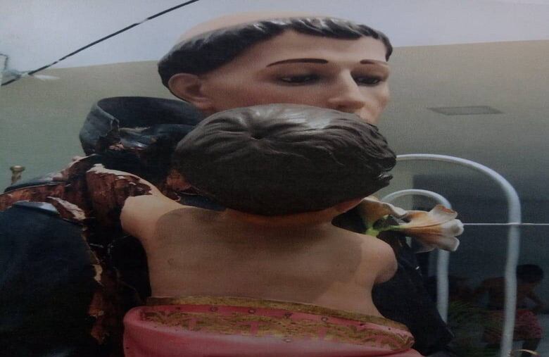 Daños por el comején. Foto de Juan Camilo Duque