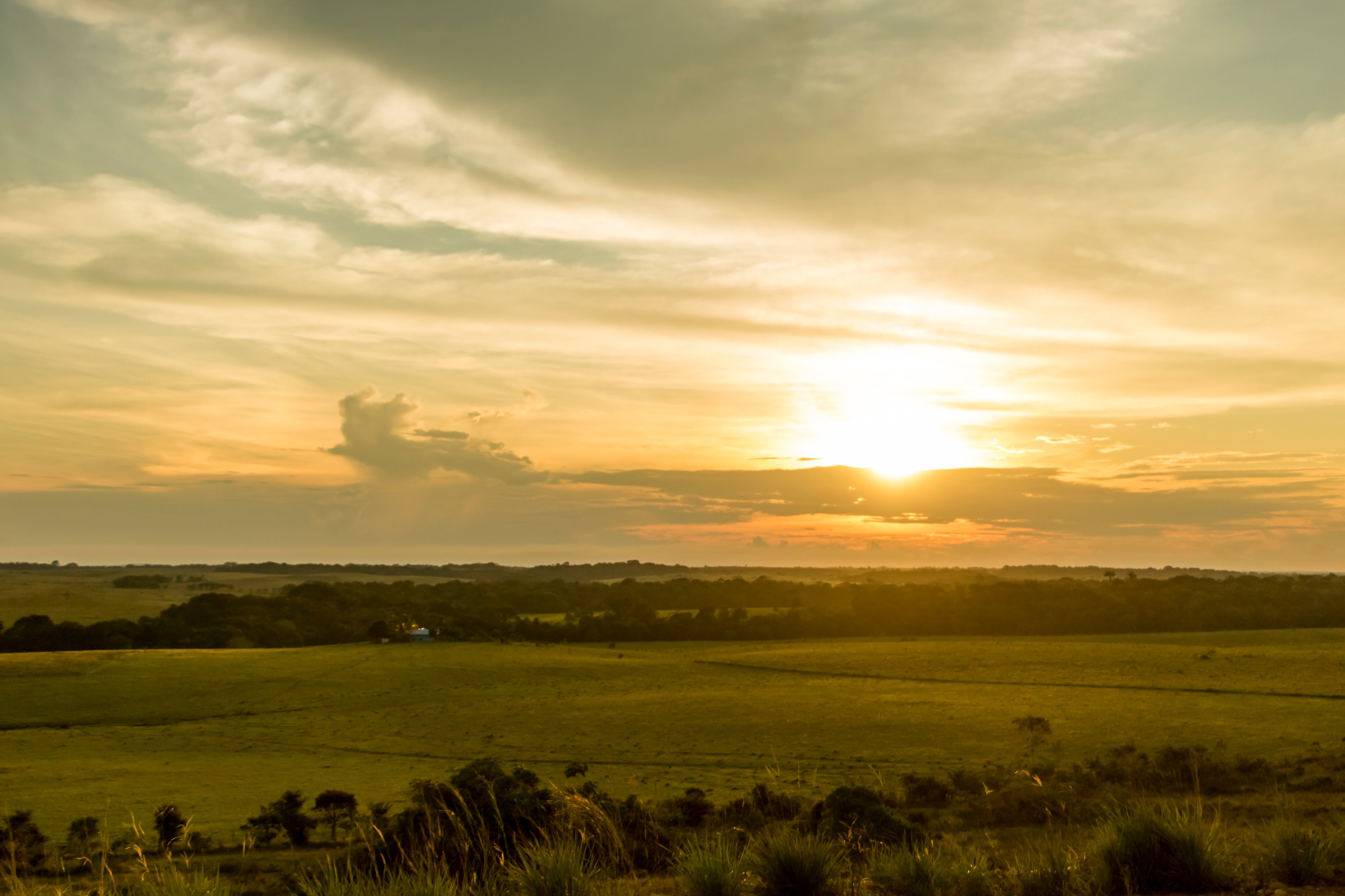 Llanos Orientales de Colombia