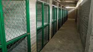 Centro de Bienestar Animal.