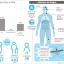 Cifras de dengue en Cali y el Valle del Cauca | noviembre 2023.
