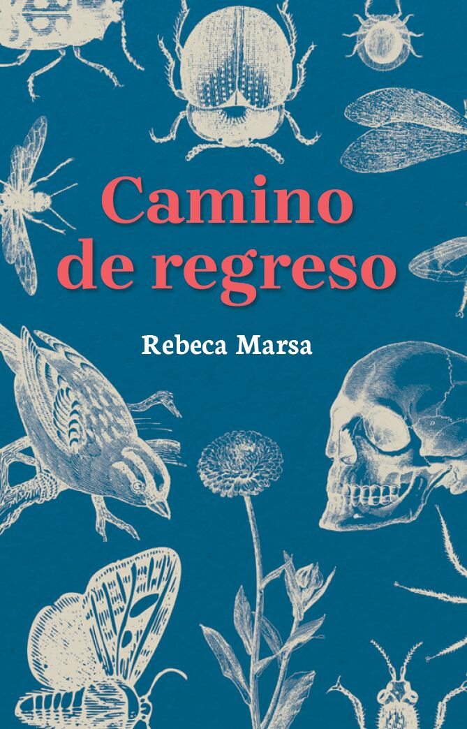 'Camino de regreso', de Panamericana Editorial.