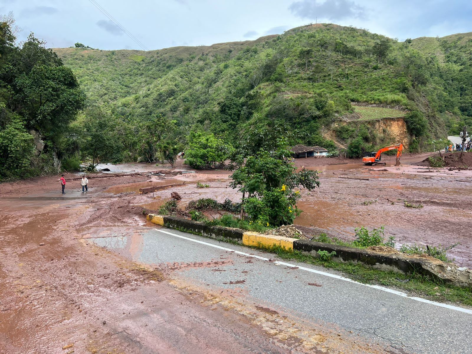 Las imágenes son desgarradoras.