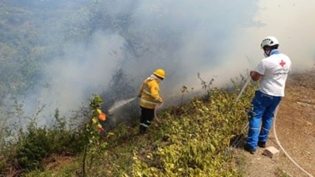 Bomberos, Defensa Civil, Policía y Ejército atendieron la emergencia registrada entre Soacha y Sibaté para contener el avance de las llamas y proteger la planta Alicachín, una infraestructura clave para la regulación del río Bogotá.