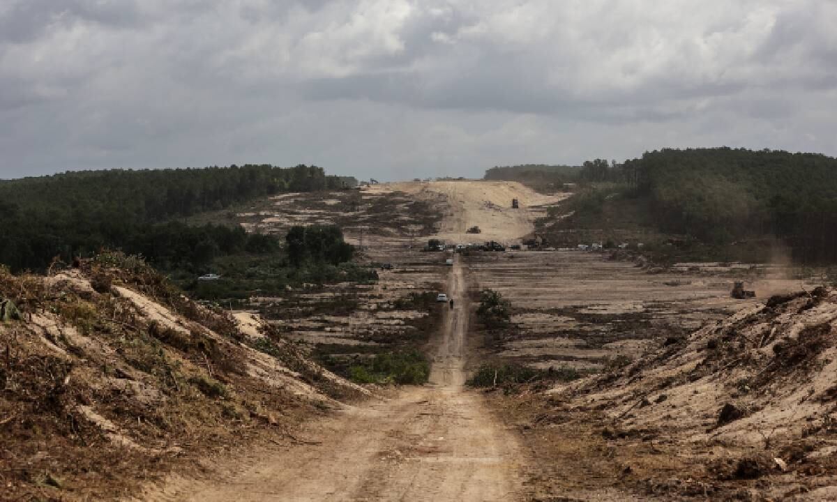 La ola de calor en Europa también está marcada por las evidentes sequías que perjudican la agricultura de varios de sus países.