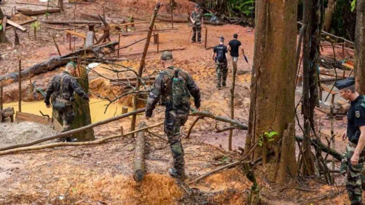 Los humanos están ocasionando la extinción de otras especies mediante la caza, la minería, la pesca excesiva y la tala de bosques. Foto: Getty Images