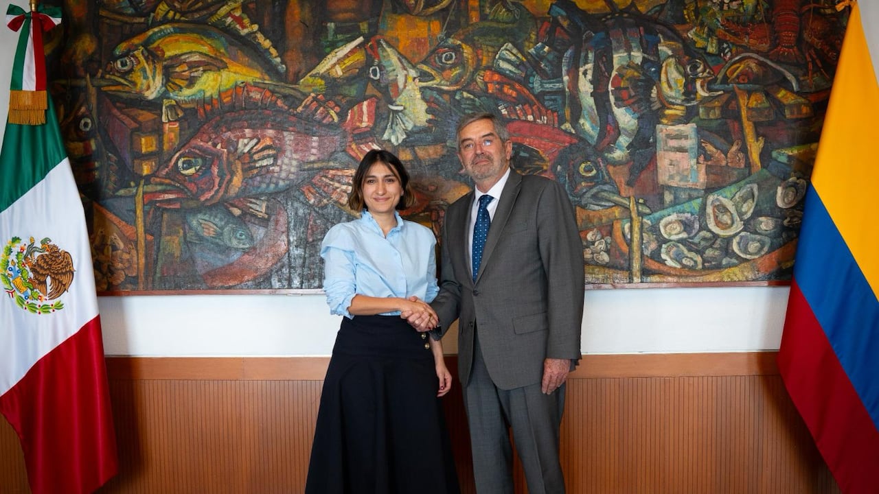 La canciller de Colombia, Laura Sarabia, y el secretario de Relaciones Exteriores de México, Juan Ramón de la Fuente.