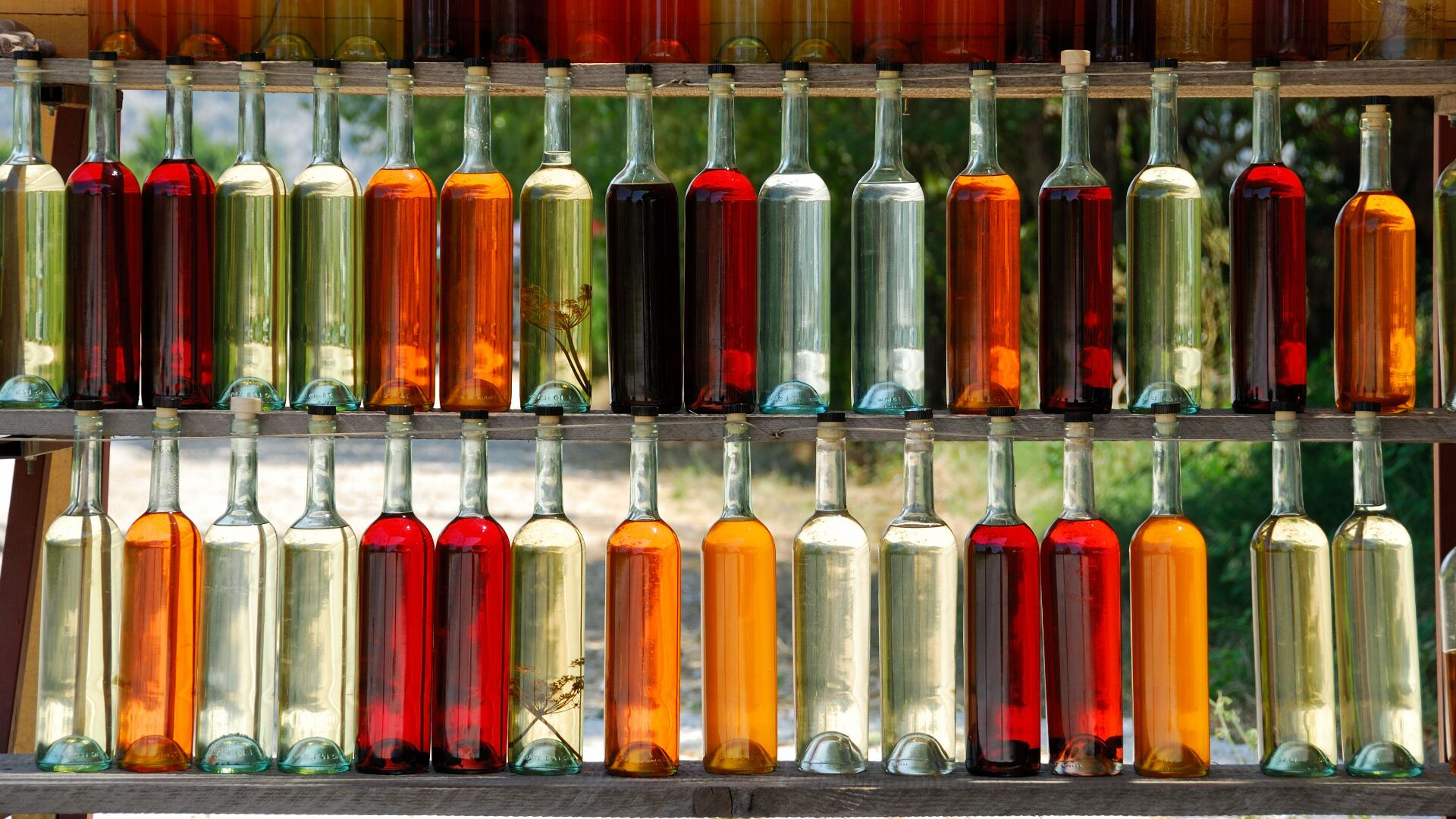 Es un gran momento para las bebidas artesanales y ancestrales en Colombia: hay que formalizarlas