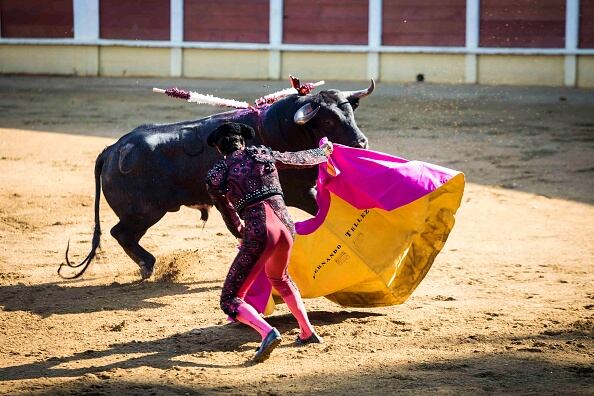 El diputado defiende que las corridas de toros no son una tradición francesa, sino "una tradición española que se importó a Francia a mediados del siglo XIX para complacer a la esposa de Napoleón III".