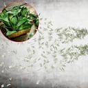 Se cree que el laurel es una planta especial que ayuda a atraer la prosperidad.