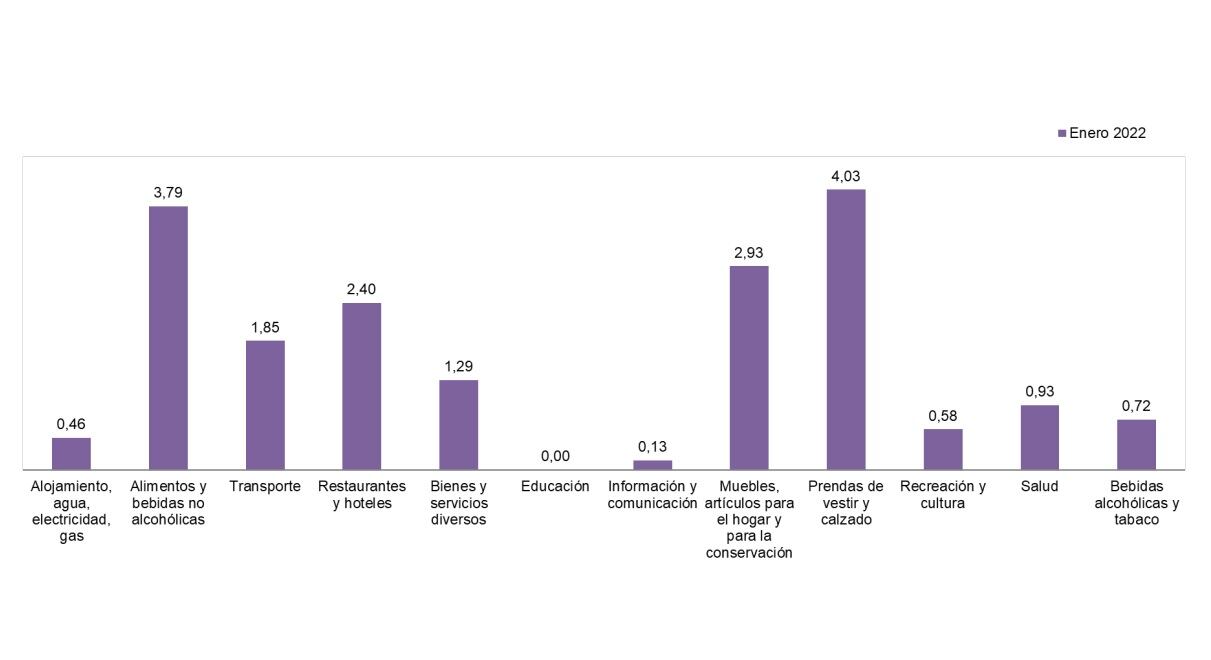 Variación mensual del Índice de Precios al Consumidor (IPC) - Enero. Foto: Dane