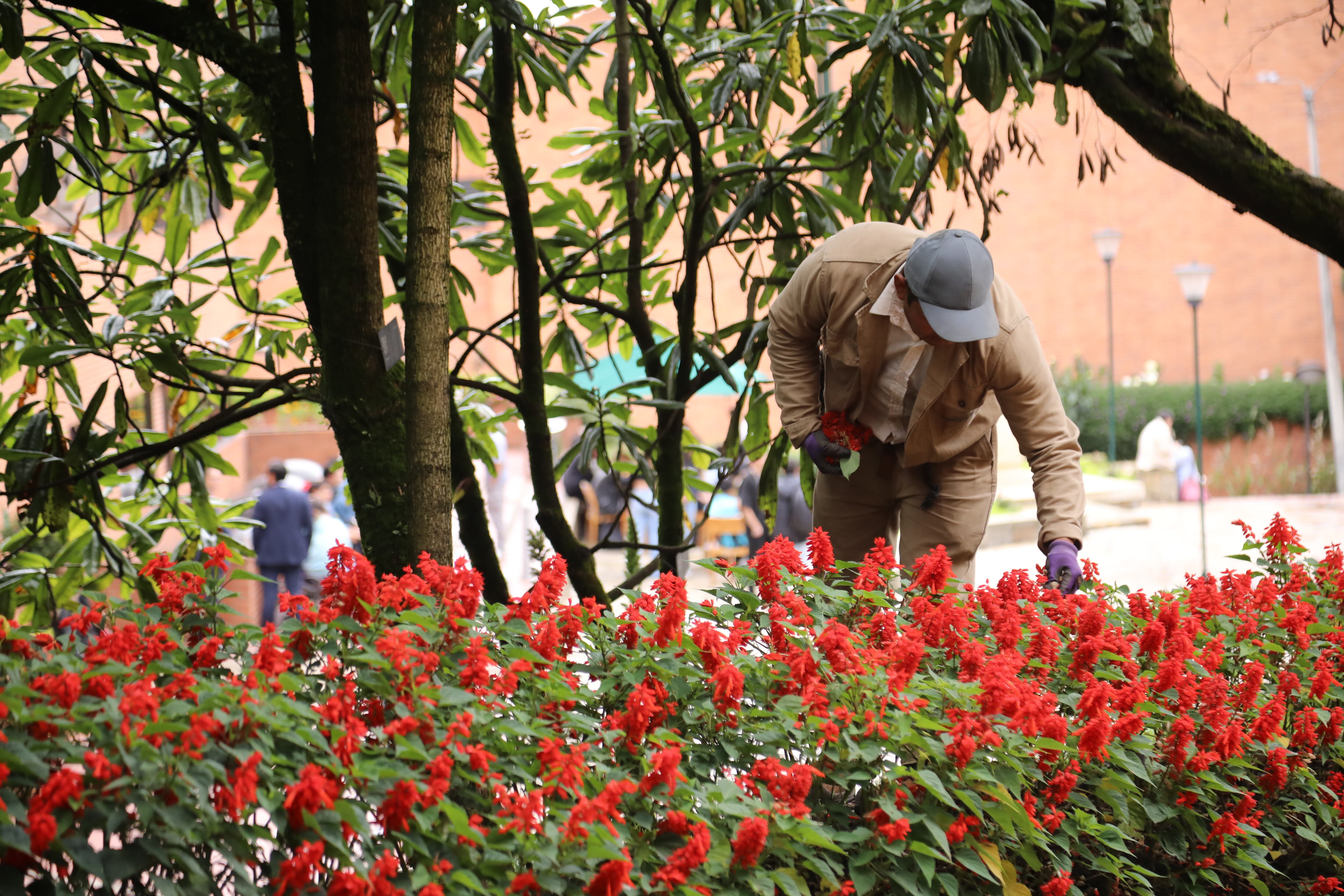 Con el fin de cuidar el entorno, la universidad adelanta acciones estratégicas, como la siembra de árboles y plantas, la recolección de aguas lluvia para el riego e instalación de luminarias LED.