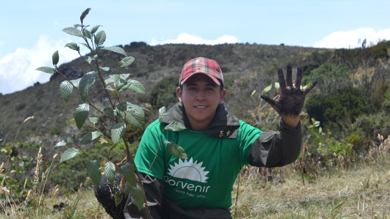 Entre las iniciativas ambientales de Porvenir sobresale la siembra de 10.000 árboles en zonas deforestadas, esto en el marco de la iniciativa Corriendo por un propósito.