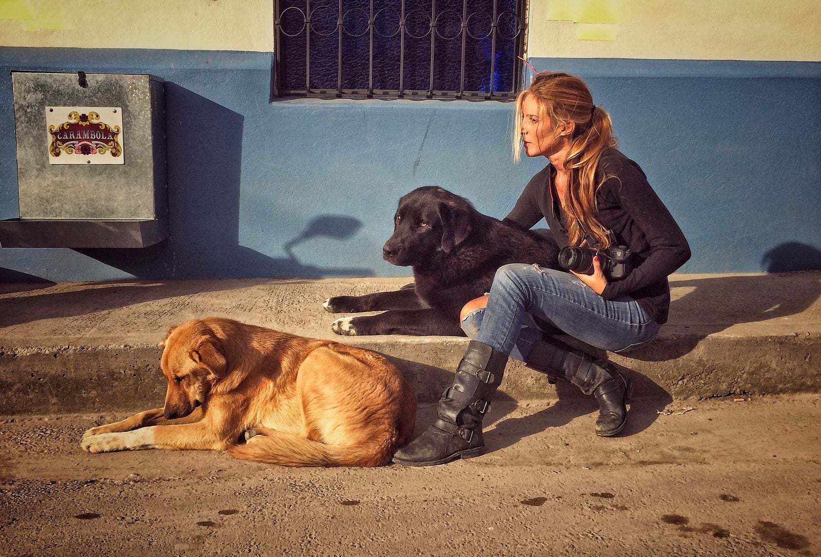 Jimena Hoyos creó el primer dispensador de comida para perros en Cajicá en 2012.
