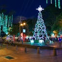 En Bogotá se realizarán diferentes eventos deportivos y culturales para celebrar la Navidad en este 2024.