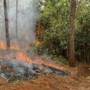 Incendio forestal en Cauca.
